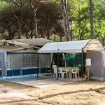 Club Del Sole Easy Village 3* Marina Romea
