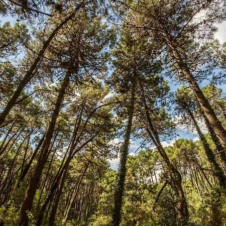 Club Del Sole Easy Village