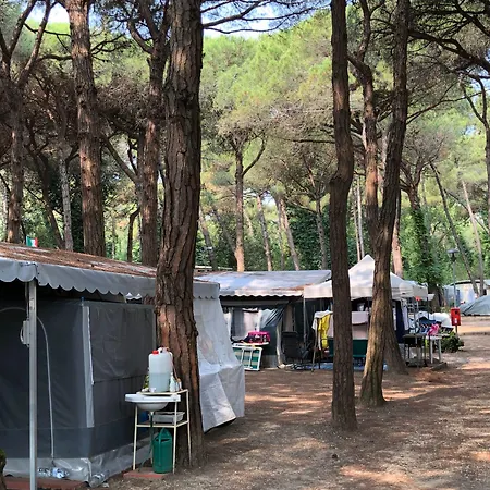 Club Del Sole Easy Village キャンプ場 3*