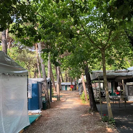 Club Del Sole Easy Village キャンプ場