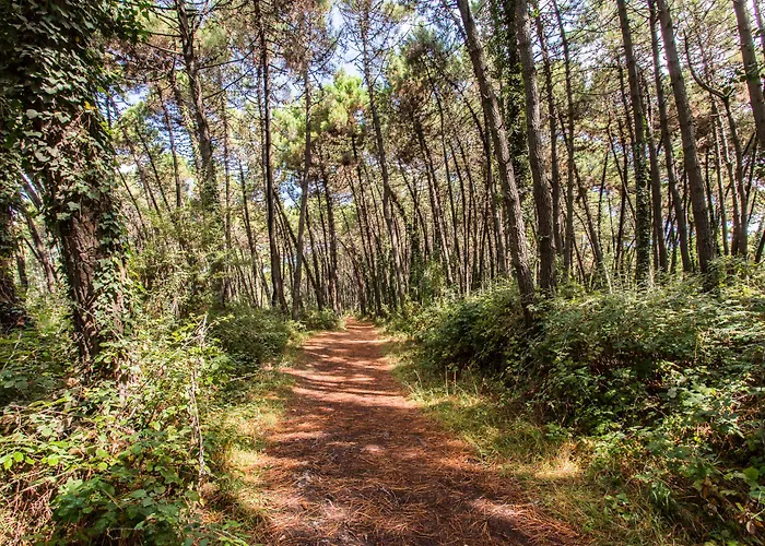 Club Del Sole Easy Village