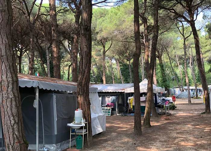 Club Del Sole Easy Village Parque de Campismo 3*