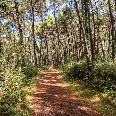 Club Del Sole Easy Village