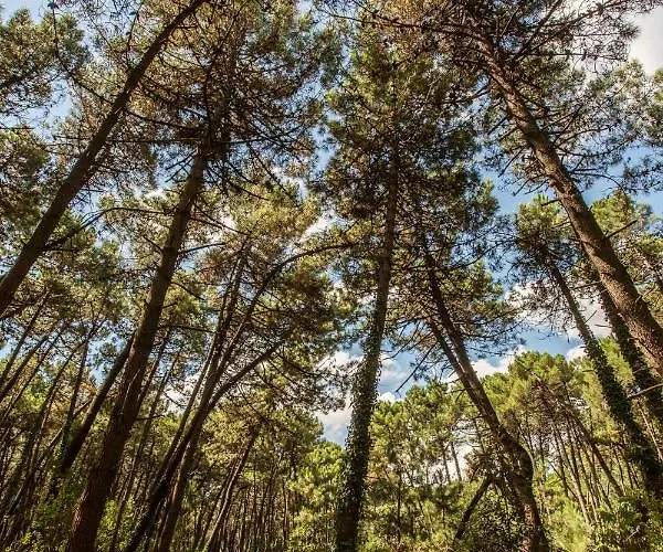 Club Del Sole Easy Village